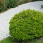 slider aussenanlagen